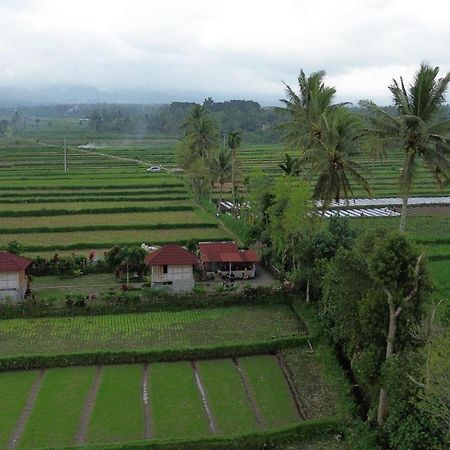New Rinjani Homestay Tetebatu Ngoại thất bức ảnh
