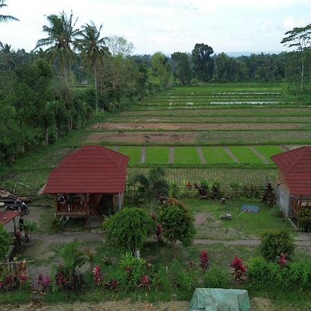 New Rinjani Homestay Tetebatu Ngoại thất bức ảnh