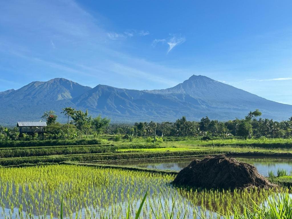 New Rinjani Homestay Tetebatu Ngoại thất bức ảnh