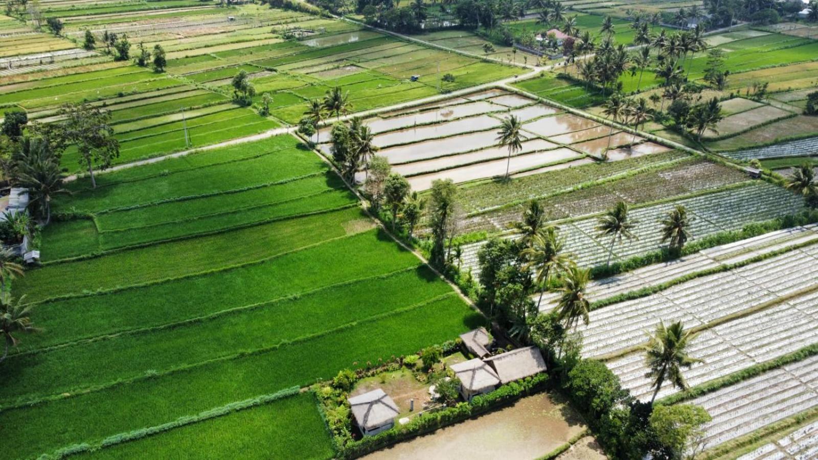 New Rinjani Homestay Tetebatu Phòng bức ảnh