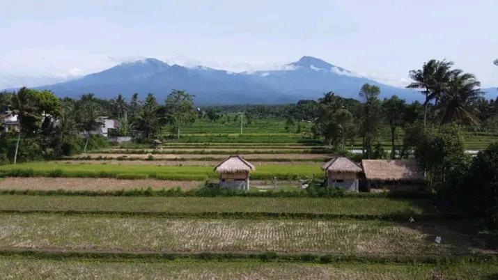 New Rinjani Homestay Tetebatu Ngoại thất bức ảnh