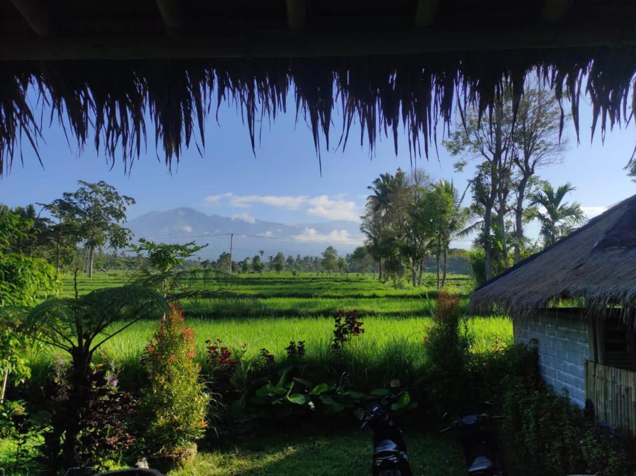 New Rinjani Homestay Tetebatu Ngoại thất bức ảnh