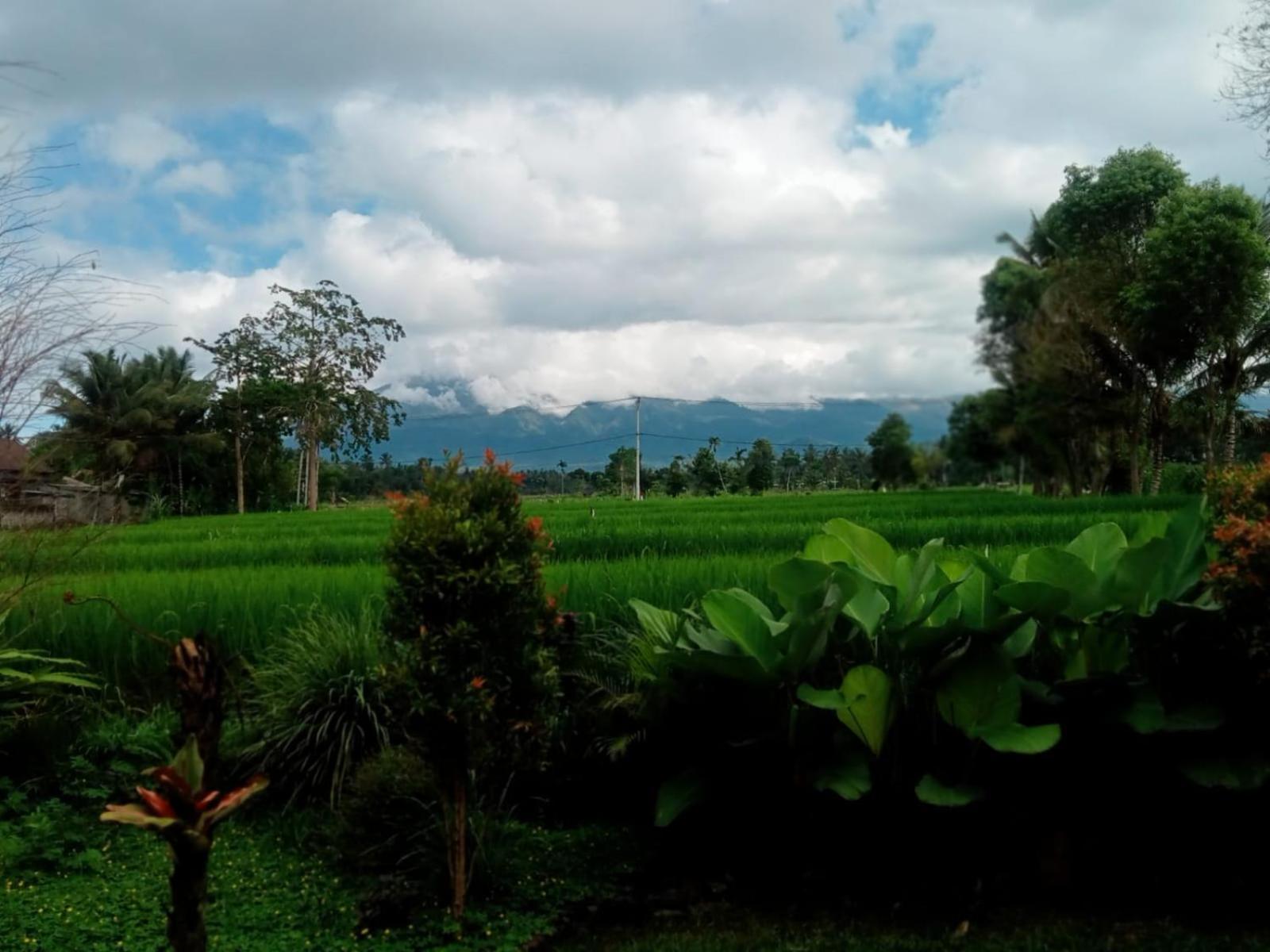 New Rinjani Homestay Tetebatu Phòng bức ảnh