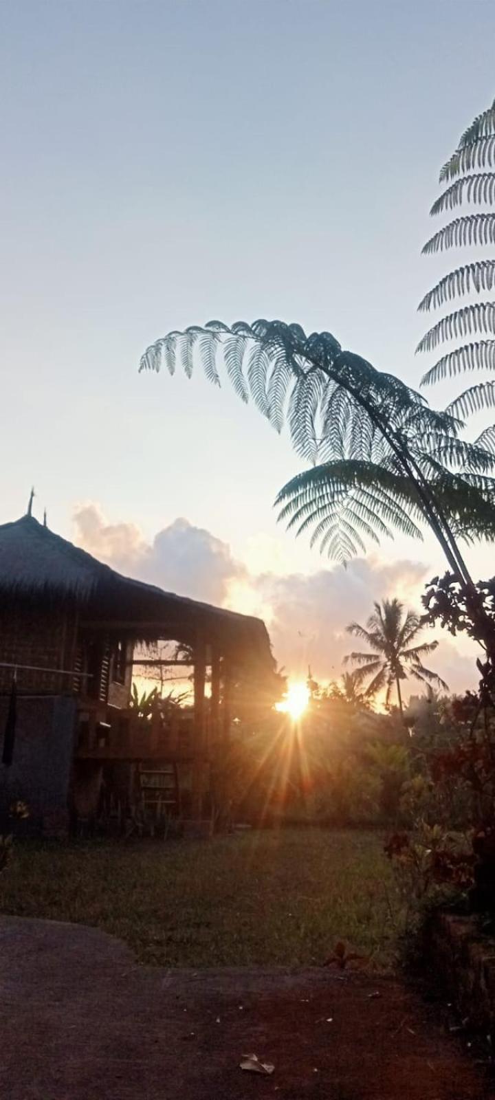 New Rinjani Homestay Tetebatu Phòng bức ảnh