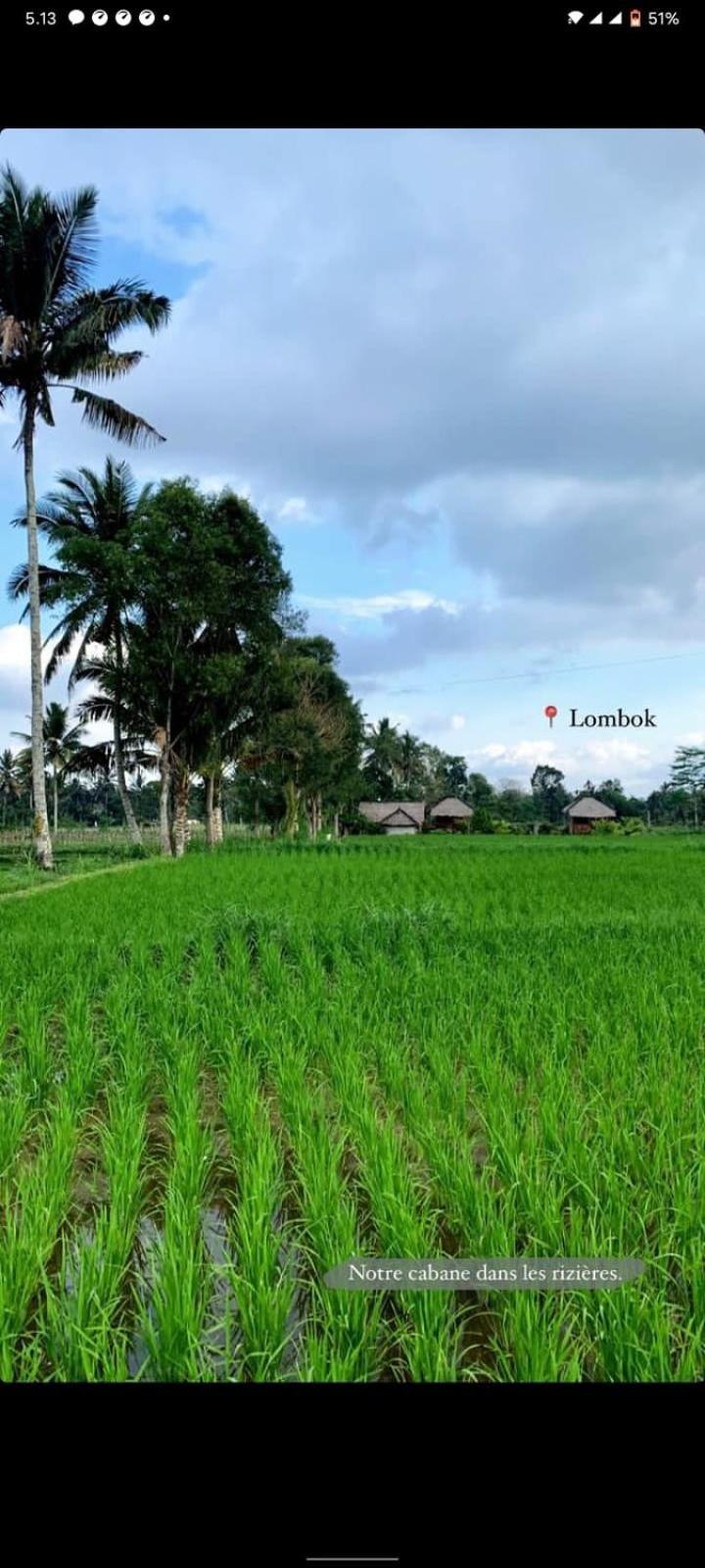New Rinjani Homestay Tetebatu Phòng bức ảnh