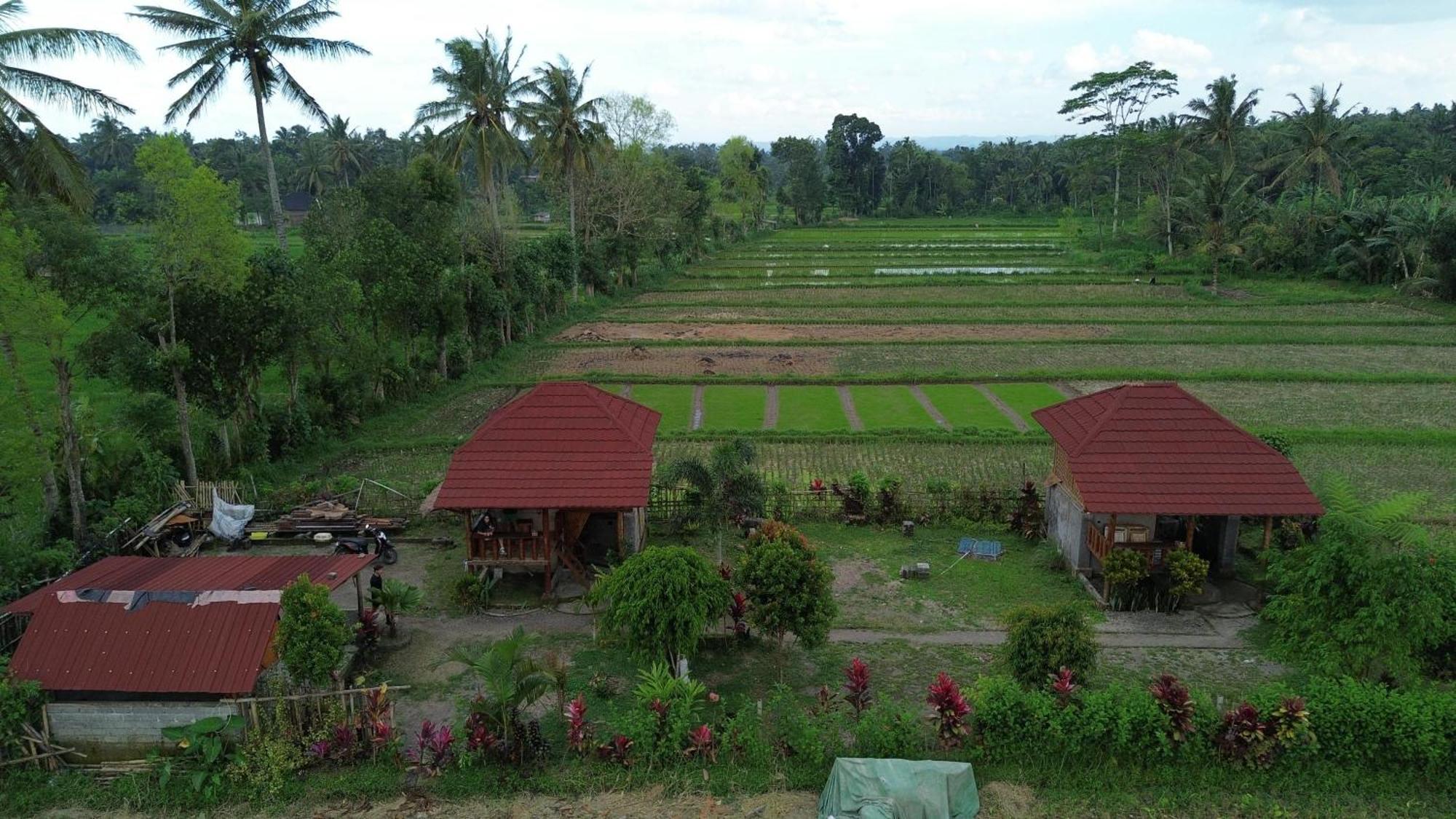 New Rinjani Homestay Tetebatu Ngoại thất bức ảnh